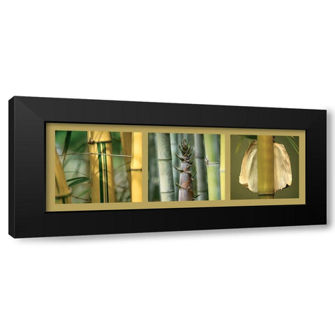 Bambous Black Modern Wood Framed Art Print by Pinsard, Laurent