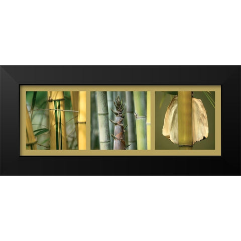 Bambous Black Modern Wood Framed Art Print by Pinsard, Laurent