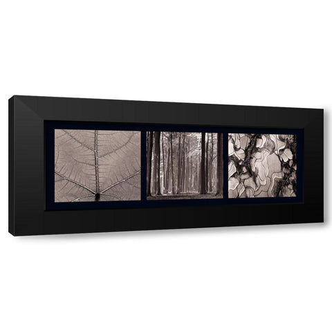 Arbres Black Modern Wood Framed Art Print by Pinsard, Laurent