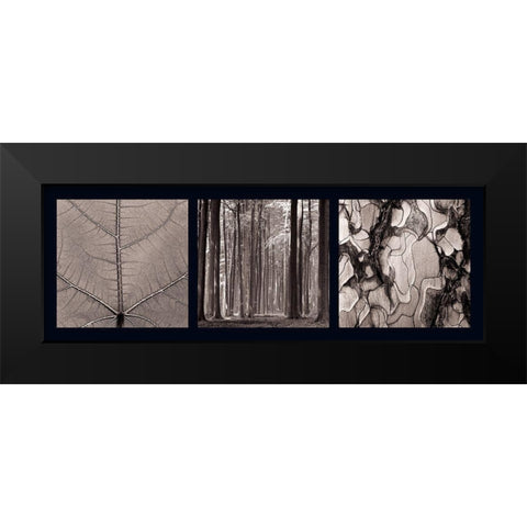 Arbres Black Modern Wood Framed Art Print by Pinsard, Laurent