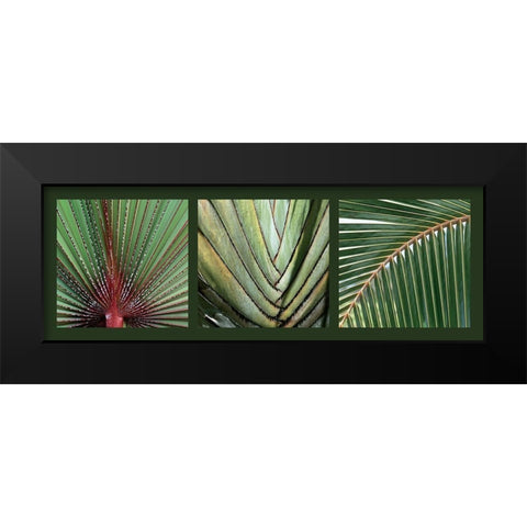 Palmiers Black Modern Wood Framed Art Print by Pinsard, Laurent