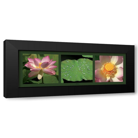 Lotus Black Modern Wood Framed Art Print by Pinsard, Laurent