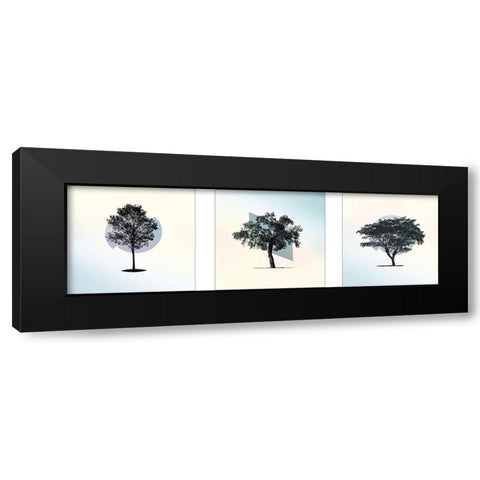 Spectrum Composition Black Modern Wood Framed Art Print with Double Matting by Braun Studio