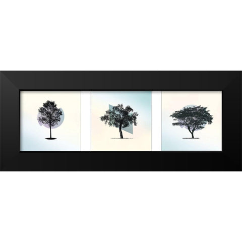 Spectrum Composition Black Modern Wood Framed Art Print by Braun Studio
