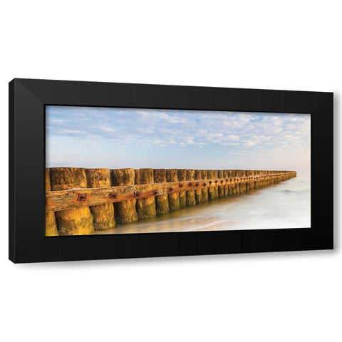 Ponton 1 Black Modern Wood Framed Art Print by Braun Studio