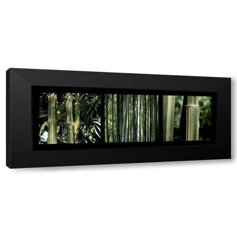 Bambous Black Modern Wood Framed Art Print with Double Matting by Pinsard, Laurent