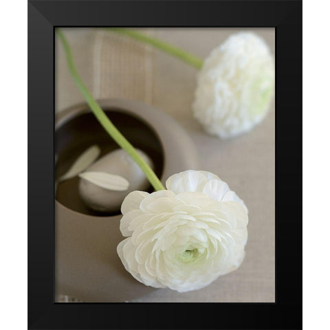 Renoncules sur bol Black Modern Wood Framed Art Print by Chatelain, Sonia