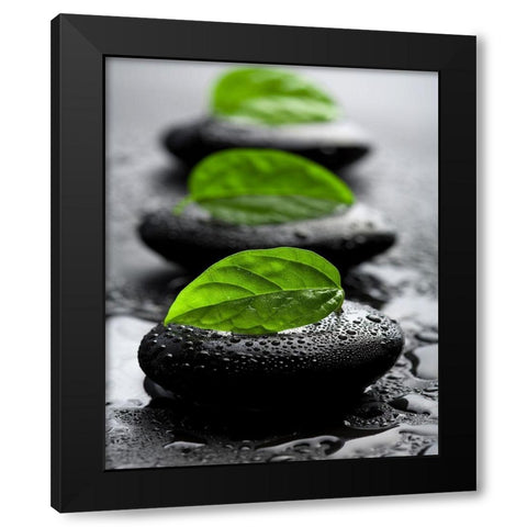 Bien-Ãªtre Black Modern Wood Framed Art Print with Double Matting by Braun Studio