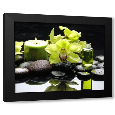 AromathÃ©rapy Black Modern Wood Framed Art Print with Double Matting by Braun Studio