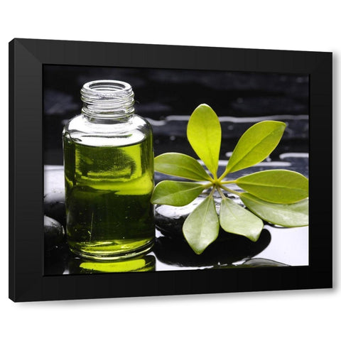 Senteur de spa Black Modern Wood Framed Art Print with Double Matting by Braun Studio