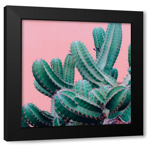 Braun Studio - Pink cactus Black Modern Wood Framed Art Print by Braun Studio