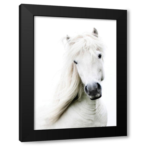 Crin Blanc Black Modern Wood Framed Art Print by Blonde Attitude