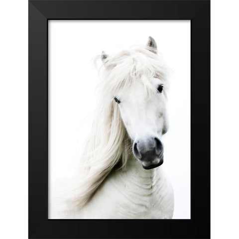 Crin Blanc Black Modern Wood Framed Art Print by Blonde Attitude