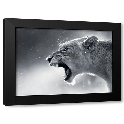 Lionne Black Modern Wood Framed Art Print by Braun Studio