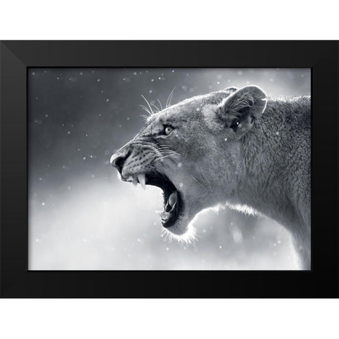 Lionne Black Modern Wood Framed Art Print by Braun Studio