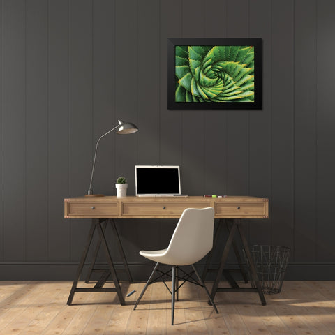 Vert de cactus Black Modern Wood Framed Art Print by Braun Studio