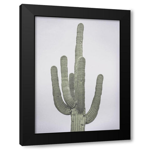 Cactus Totem Black Modern Wood Framed Art Print by Braun Studio