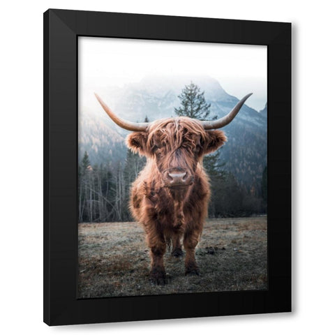 Highland Cow Black Modern Wood Framed Art Print with Double Matting by Braun Studio