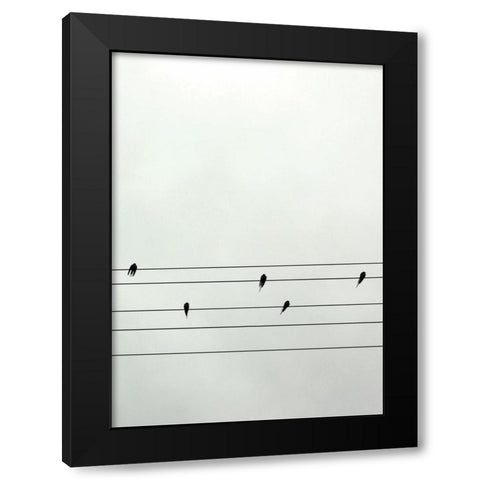 Guitar Birds Black Modern Wood Framed Art Print with Double Matting by Braun Studio