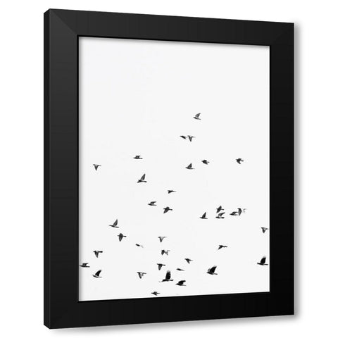 Squadron birds Black Modern Wood Framed Art Print by Braun Studio