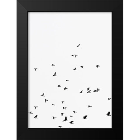 Squadron birds Black Modern Wood Framed Art Print by Braun Studio