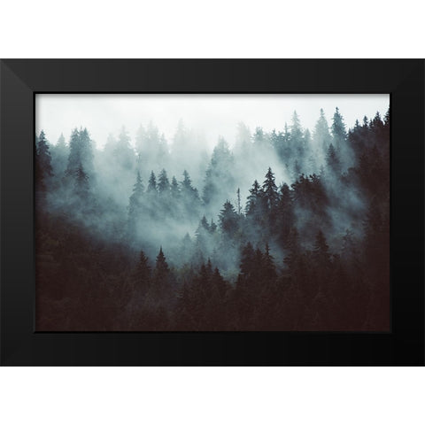 Braun Studio - Misty forest Black Modern Wood Framed Art Print by Braun Studio