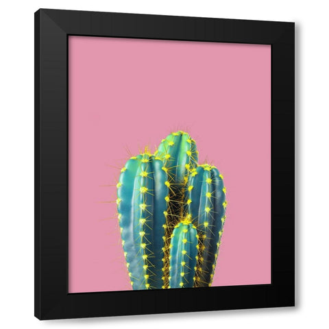 Braun Studio - Cactus epines jaunes Black Modern Wood Framed Art Print by Braun Studio