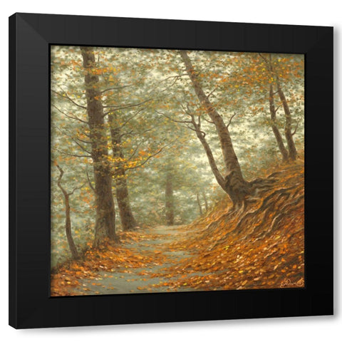 The Path to the Forest Black Modern Wood Framed Art Print with Double Matting by Adamov, Alexey