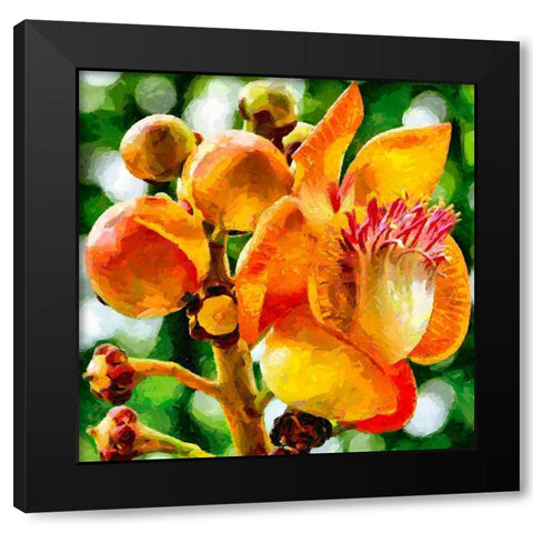 Bud in Bloom Black Modern Wood Framed Art Print by Medeiros, Celito