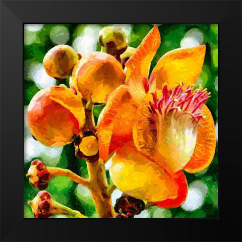 Bud in Bloom Black Modern Wood Framed Art Print by Medeiros, Celito