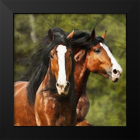 Two brown Horses Black Modern Wood Framed Art Print by Medeiros, Celito