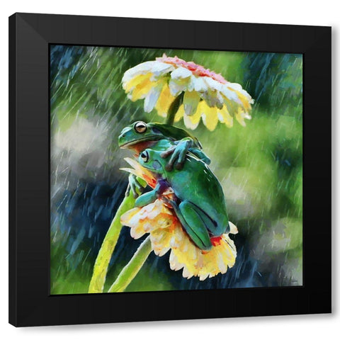 Two Green Frogs II Black Modern Wood Framed Art Print by Medeiros, Celito