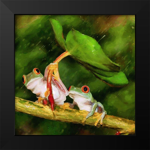 Two Green Frogs II Black Modern Wood Framed Art Print by Medeiros, Celito