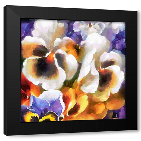 White Pansies Black Modern Wood Framed Art Print by Medeiros, Celito
