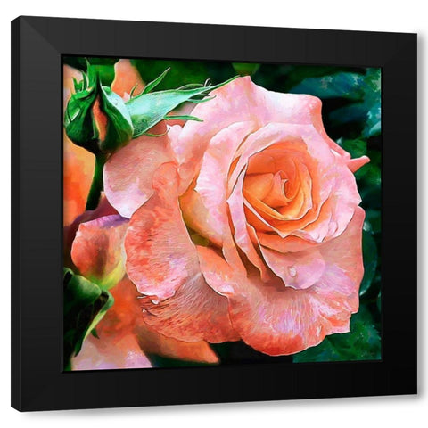 Big Rose Black Modern Wood Framed Art Print by Medeiros, Celito