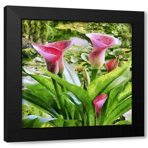 Kala Black Modern Wood Framed Art Print by Medeiros, Celito