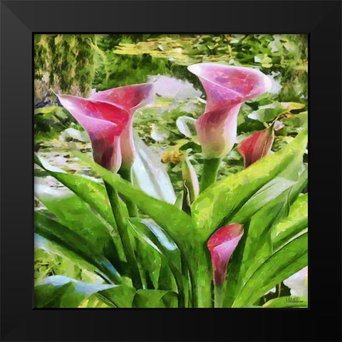 Kala Black Modern Wood Framed Art Print by Medeiros, Celito