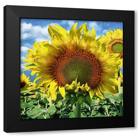 Sunflower Black Modern Wood Framed Art Print by Medeiros, Celito