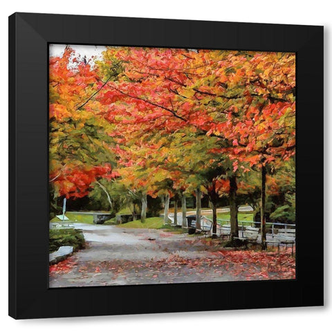 Autumn Park Black Modern Wood Framed Art Print by Medeiros, Celito