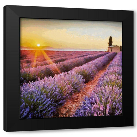 Lavender Field I Black Modern Wood Framed Art Print with Double Matting by Medeiros, Celito