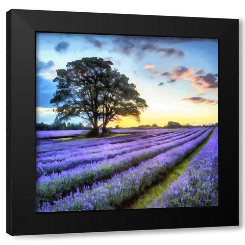 Lavender Field II Black Modern Wood Framed Art Print by Medeiros, Celito