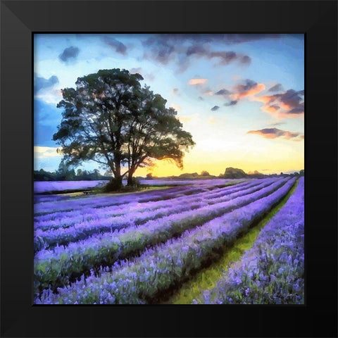 Lavender Field II Black Modern Wood Framed Art Print by Medeiros, Celito