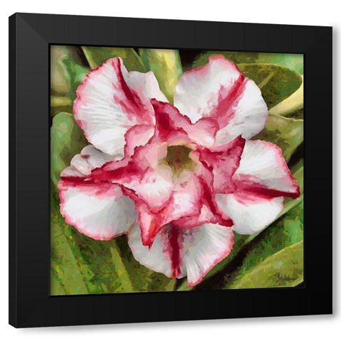 Orchids III Black Modern Wood Framed Art Print with Double Matting by Medeiros, Celito
