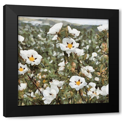 Cotton Field Black Modern Wood Framed Art Print with Double Matting by Medeiros, Celito