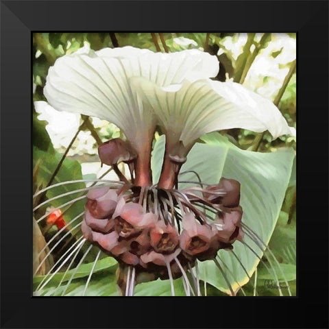 Orchids VI Black Modern Wood Framed Art Print by Medeiros, Celito
