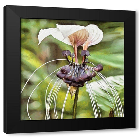 Orchids VII Black Modern Wood Framed Art Print with Double Matting by Medeiros, Celito