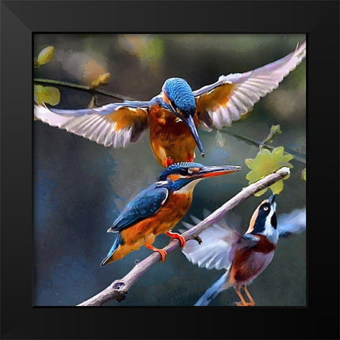 Three Kingfishers Black Modern Wood Framed Art Print by Medeiros, Celito