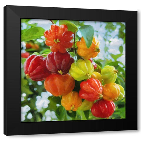 Exotic Fruit Black Modern Wood Framed Art Print by Medeiros, Celito