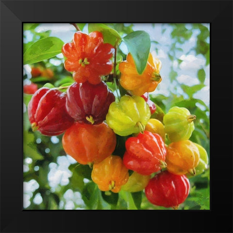 Exotic Fruit Black Modern Wood Framed Art Print by Medeiros, Celito