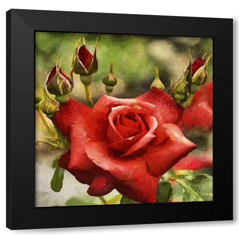 Rose with Buds Black Modern Wood Framed Art Print by Medeiros, Celito